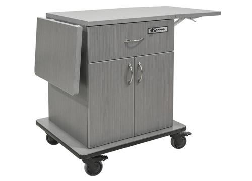 Gallery Image - Leo Delivery