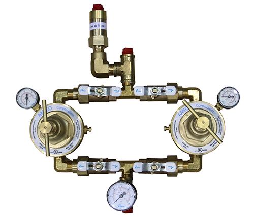 Main image for Amico's Dual Line Regulating Station NFPA
