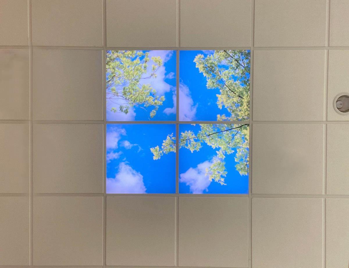 Gallery image for Amico's MRI Series 2' x 2' Image Ceiling Panel